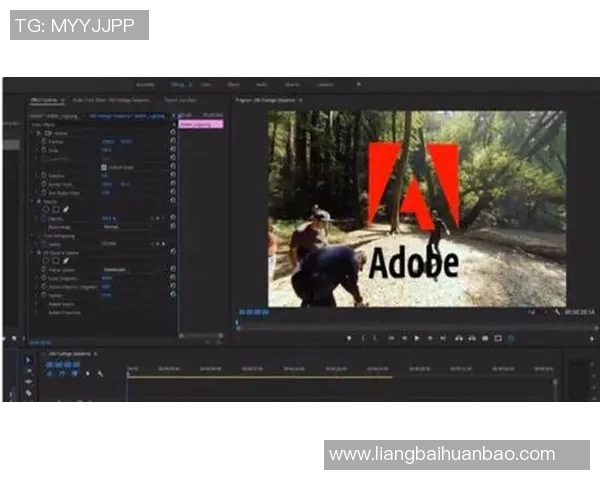 图森与黑的精彩对决视频下载分享与观看指南
