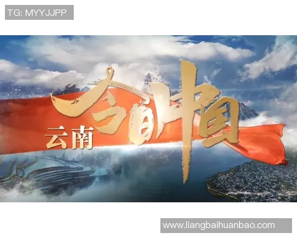 探索云南卫视精彩节目表领略多彩文化与娱乐盛宴