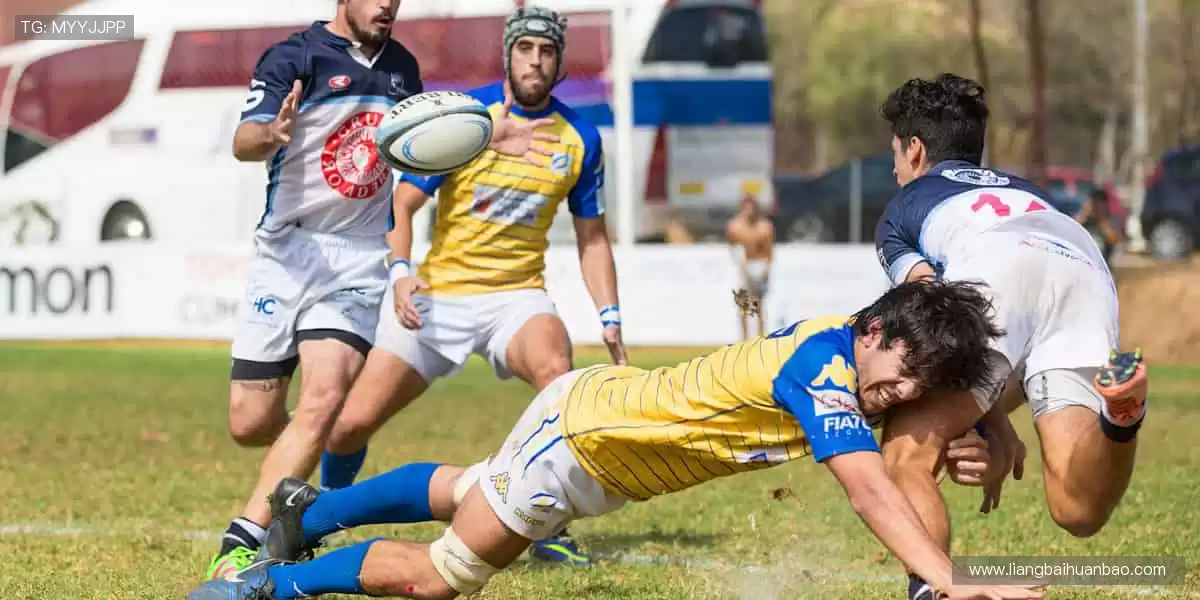 🏋️ 专业品质，助力每一次突破！💪